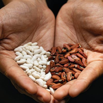 แม่ทา ออร์แกนิค