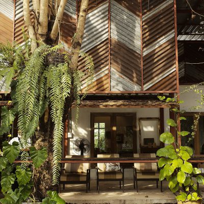 ไม้บ้าน